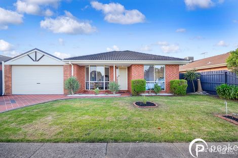 Property photo of 21 Warrenwood Place Narre Warren VIC 3805