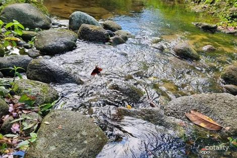 141 Telecom Rd, Bellenden Ker, QLD 4871