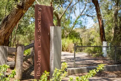 Property photo of 318 Springvale Road Forest Hill VIC 3131