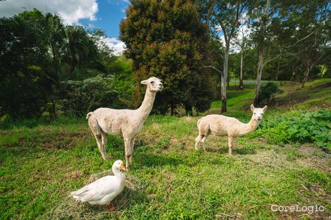 Property photo of 2 Shekinah Court West Woombye QLD 4559