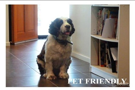 Property photo of 21 Vetiver Street Trinity Park QLD 4879