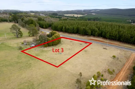 Property photo of 180 Sunny Corner Road Kirkconnell NSW 2795