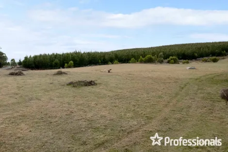 Property photo of 180 Sunny Corner Road Kirkconnell NSW 2795