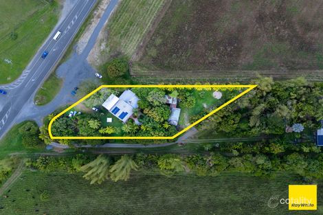 2539 Mossman-Daintree Rd, Lower Daintree, QLD 4873
