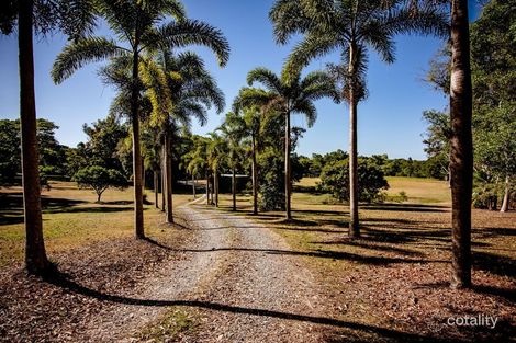 Property photo of 120 Highland Drive Julatten QLD 4871