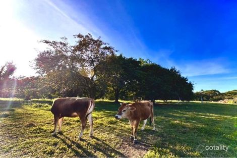 Property photo of 120 Highland Drive Julatten QLD 4871