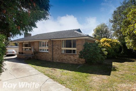 Property photo of 66 Sasses Avenue Bayswater VIC 3153