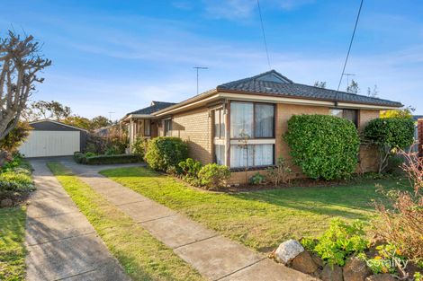 Property photo of 6 Kinsley Court Belmont VIC 3216