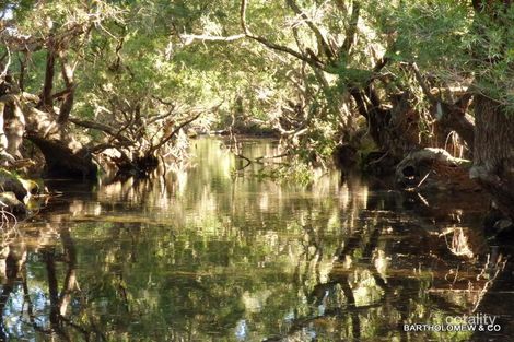 Property photo of 149 Spicers Gap Road Clumber QLD 4309