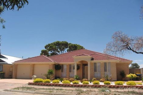 60 Lurline Ave, Gilles Plains, SA 5086