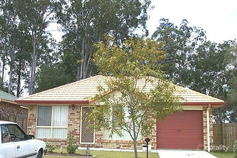 19 Tyrone Pl, Acacia Ridge, QLD 4110