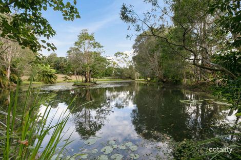 Property photo of 31 Old Orchard Drive Palmwoods QLD 4555