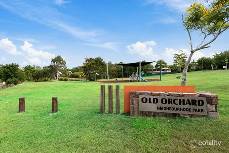Property photo of 31 Old Orchard Drive Palmwoods QLD 4555