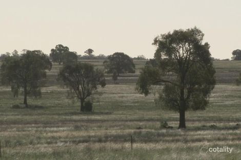 574 Milpulling Rd, Balladoran, NSW 2822