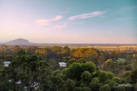 Property photo of 38 River Gum Drive Diddillibah QLD 4559