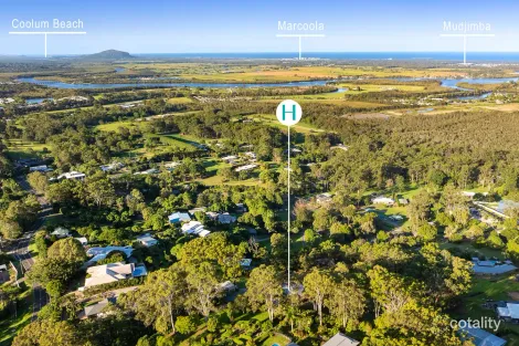Property photo of 38 River Gum Drive Diddillibah QLD 4559
