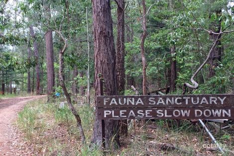 Property photo of 170 Chester Road Wondecla QLD 4887