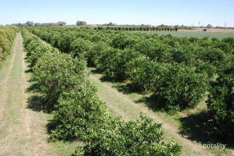 204 Healy Rd, Cobram, VIC 3644