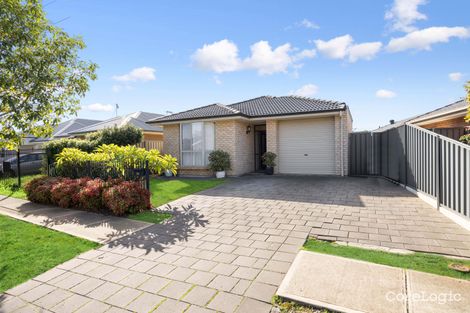 Property photo of 34 Trowbridge Avenue Mitchell Park SA 5043