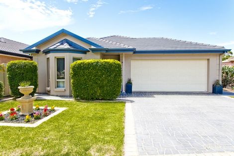 16 Beatty St, Flinders Park, SA 5025