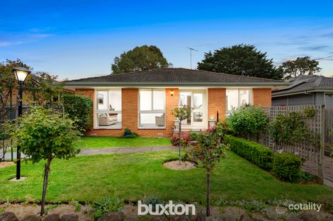 Property photo of 36 Colac Grove Belmont VIC 3216