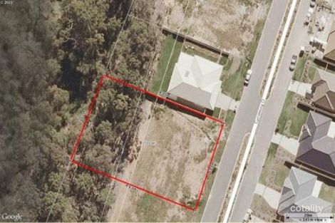 Property photo of 15 Currawong Crescent Upper Coomera QLD 4209