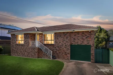 66 Metella Rd, Toongabbie, NSW 2146