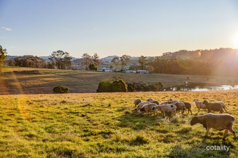 351 Monkerai Rd, Main Creek, NSW 2420