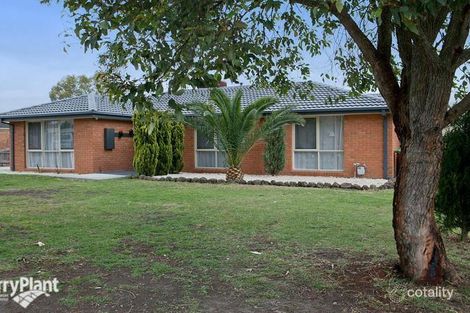 Property photo of 1/1 Moffat Close Endeavour Hills VIC 3802