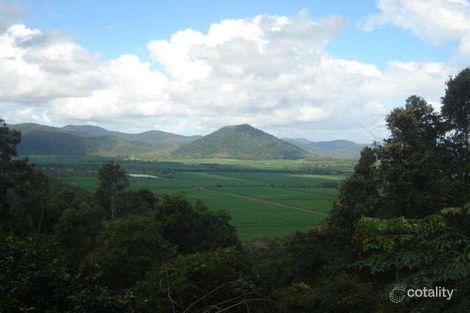 Property photo of 96 Staniland Drive Strathdickie QLD 4800