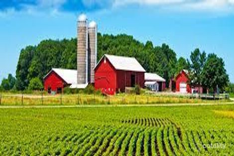 805 Obrien Rd, Undera, VIC 3629