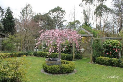 16 Seymour St, Majors Creek, NSW 2622