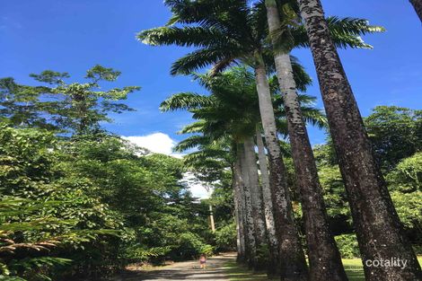 203 Ellis Rd, Bellenden Ker, QLD 4871