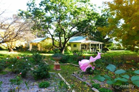 Property photo of 559 Green Road Mairjimmy NSW 2716