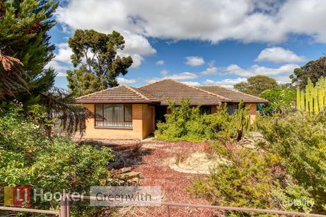 9 Vida Ave, Redwood Park, SA 5097