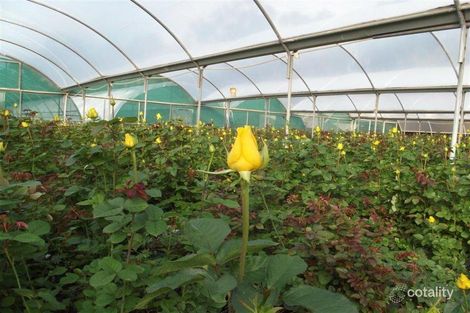 85 Feast Rd, Serpentine, WA 6125