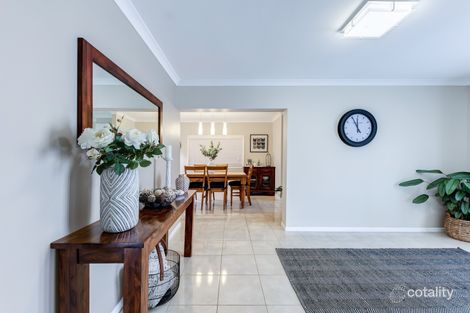Property photo of 19 Dalby Street Maroochydore QLD 4558