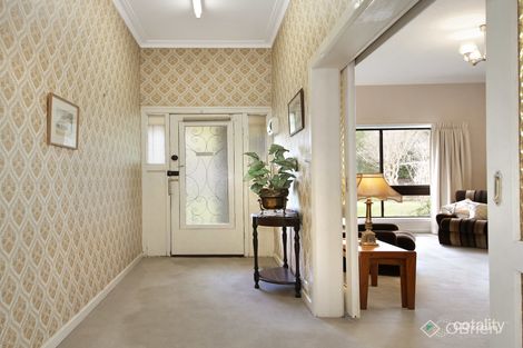 Property photo of 14 Dalmor Avenue Ormond VIC 3204