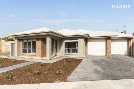 25 Wattle Tce, Plympton Park, SA 5038