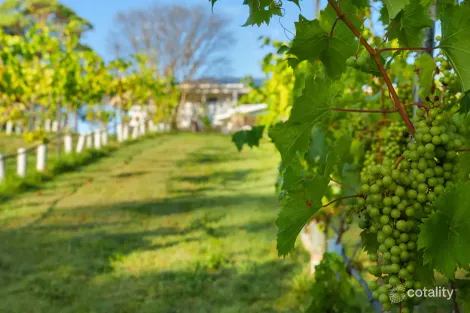 Property photo of 416 Dulong Road Dulong QLD 4560