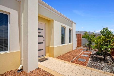 Property photo of 24 Pomelaa Way Clarkson WA 6030