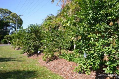 Property photo of 21 Clithero Avenue Buderim QLD 4556