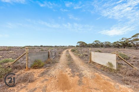 Property photo of 1451 Bower Boundary Road Brownlow SA 5374