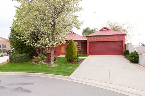 Property photo of 7 Nicholas Street Shepparton VIC 3630