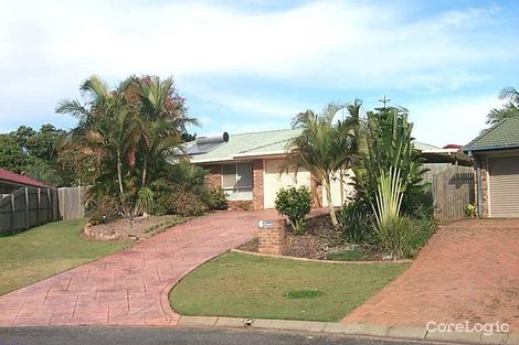 Property photo of 6 Pecan Court Birkdale QLD 4159