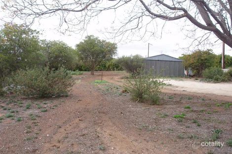 Lot 114 Swan Reach Rd, Nildottie, SA 5238