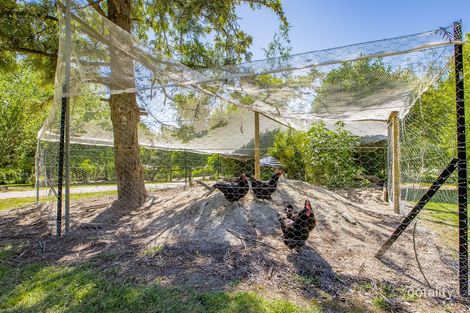 Property photo of 157 Simmonds Creek Road Tawonga South VIC 3698