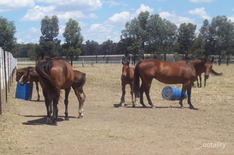 229 Frost Rd, Killawarra, VIC 3678