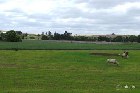 Property photo of 1423 Yangan Killarney Road Tannymorel QLD 4372