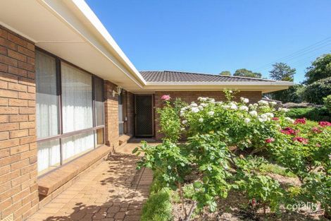 Property photo of 64 Hamilton Road Fairview Park SA 5126